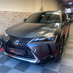 Lexus UX 250H